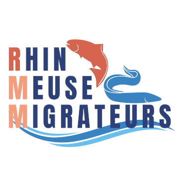 LOGO_Rhin Meuse migrateurs (ancien saumon Rhin)éd